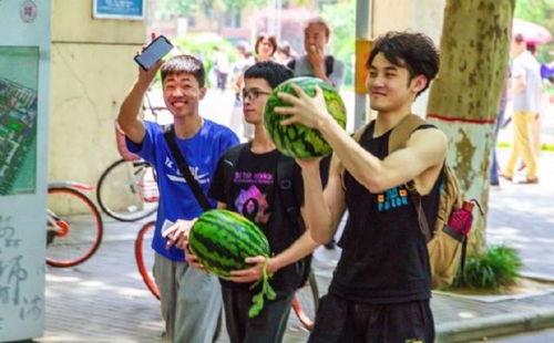 吃瓜学校全集免费,揭秘校园风云，笑料百出的青春岁月